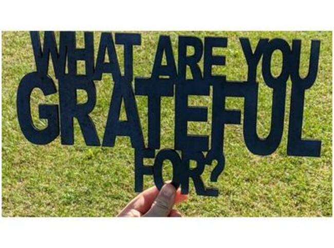 Manifest Your Life With Gratitude