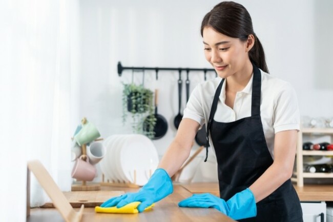 [The Korean Dilemma] Foreign domestic workers: Yay or nay?