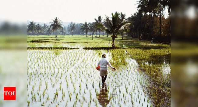 Contentious pesticide management bill sent to a parliamentary panel