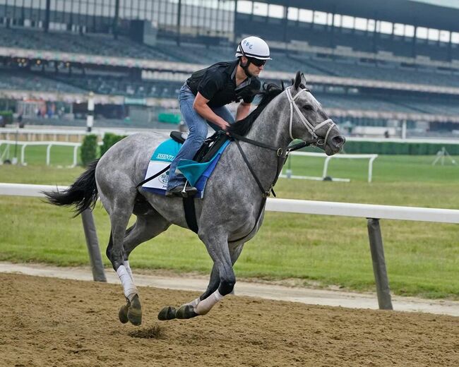 Essential Quality crosses finish line first in Belmont