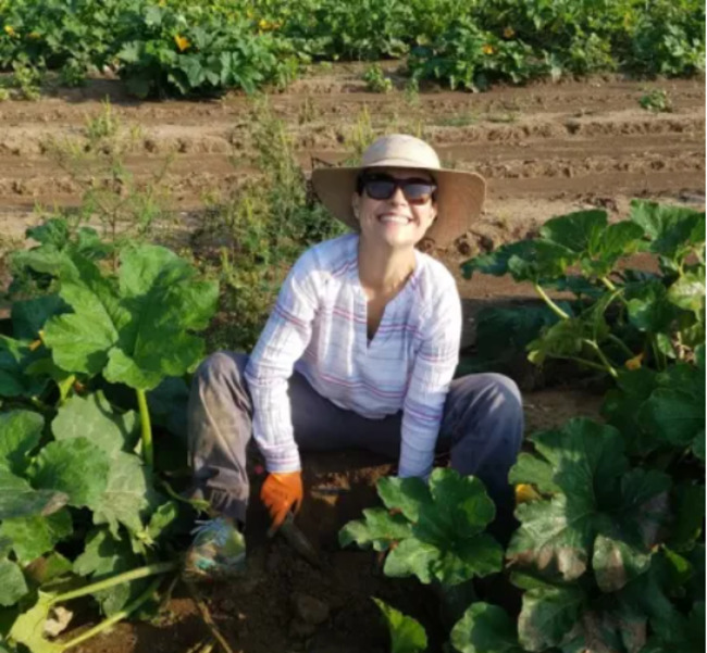 Squash Bee Populations Growing Fast While Other Bees Fail