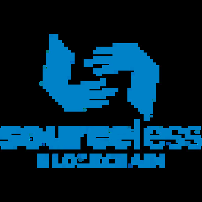 Sourceless (STR) Achieves Self Reported Market Capitalization of $335.03 Million