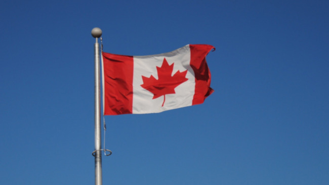 Canada repatriates 14 citizens from Islamic State camps in Syria