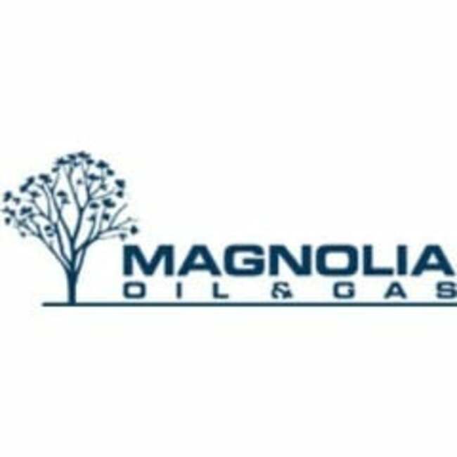 Diamondback Energy (NASDAQ:FANG) and Magnolia Oil & Gas (NYSE:MGY) Head to Head Analysis