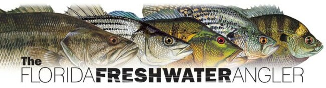The Florida Freshwater Angler Issue 32