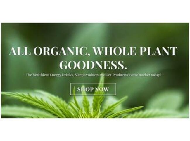 CBD and Brain Foods on Alzheimer's Speaks Radio