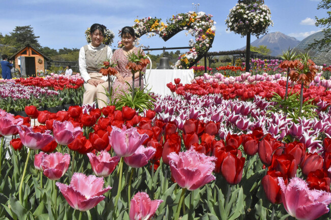 Coronavirus pandemic latest: April 11, 2023