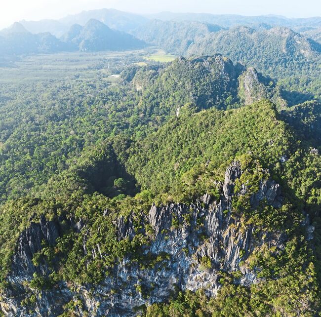 New book to highlight the bioversity of Perlis' Wang Kelian to be released