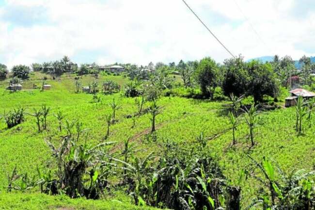 Armed illegal miners thrive in Tampakan