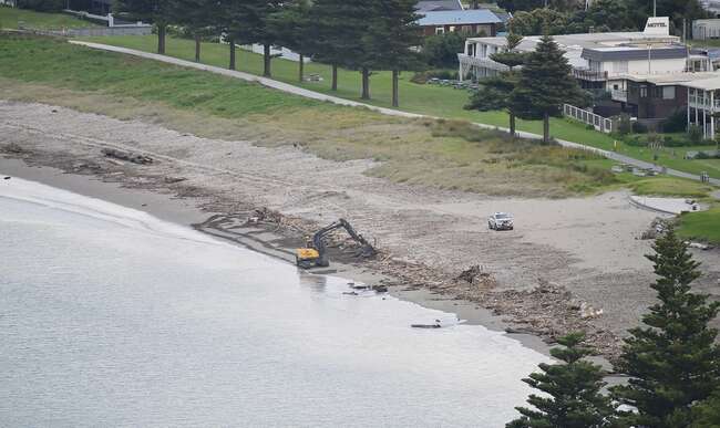 Logs back on the beach