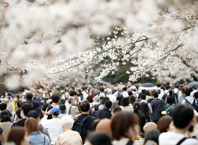 Japan's population falls under 125 mil., 12th year of decline