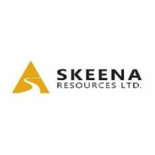 Skeena Resources Limited (SKE.V) (CVE:SKE) Price Target Increased to C$16.50 by Analysts at Scotiabank