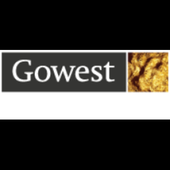 Gowest Gold (CVE:GWA) Trading Down 5.9%