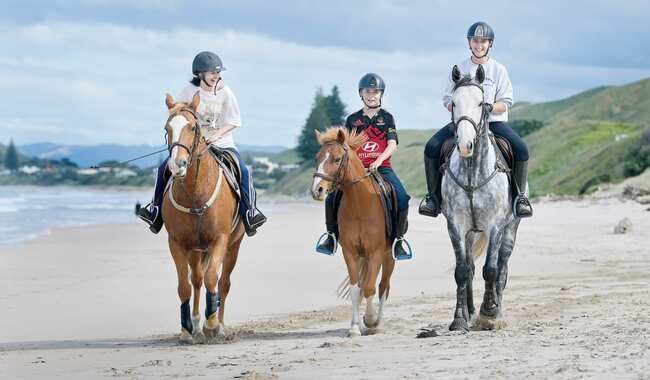 Playgrounds off limits after cyclone