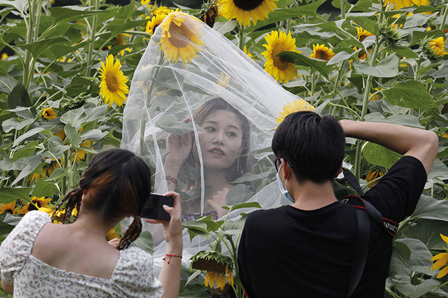 China block on foreign access to journal portal ‘damages knowledge'