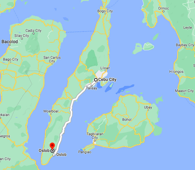 Canadian dies in Oslob after an apparent cardiac arrest while whale shark watching