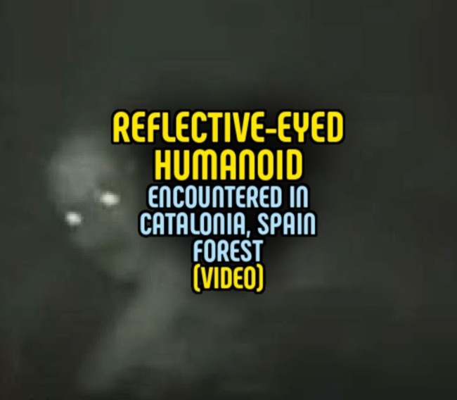 REFLECTIVE-EYED HUMANOID Encountered in Catalonia, Spain Forest (VIDEO)