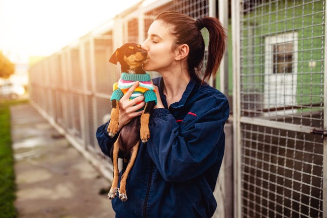 Grants to aid pet rehoming