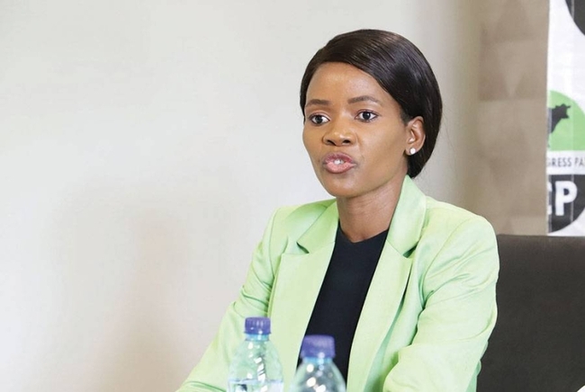 New coalition in disarray