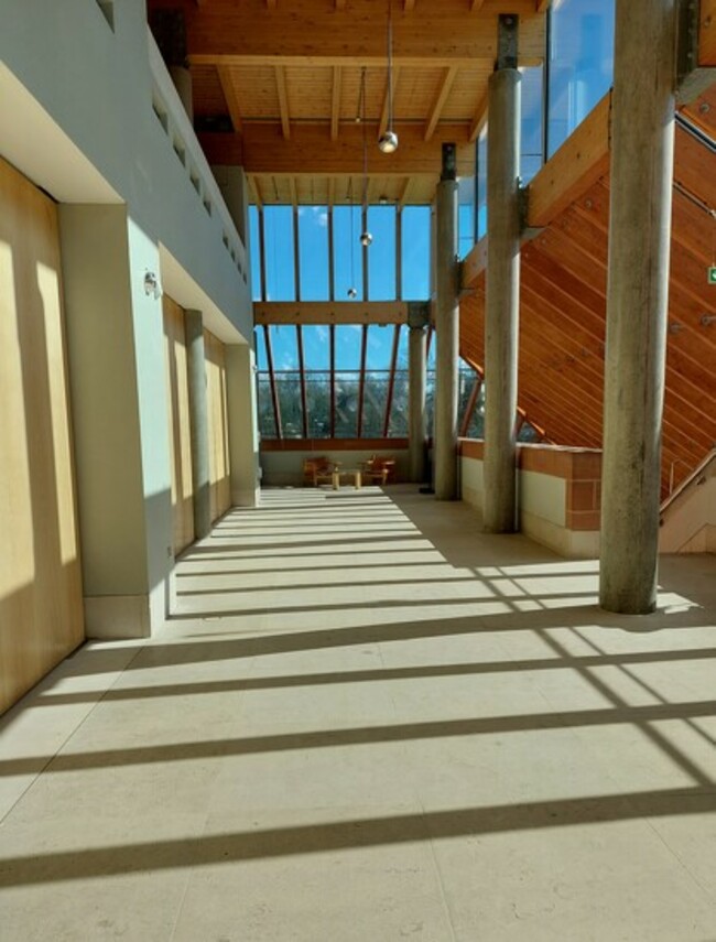 More light and shadow from the Burrell Collection, Glasgow