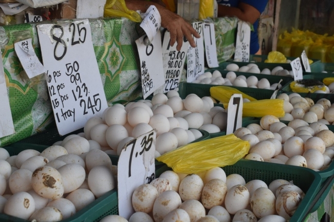 Prices of eggs continue to increase