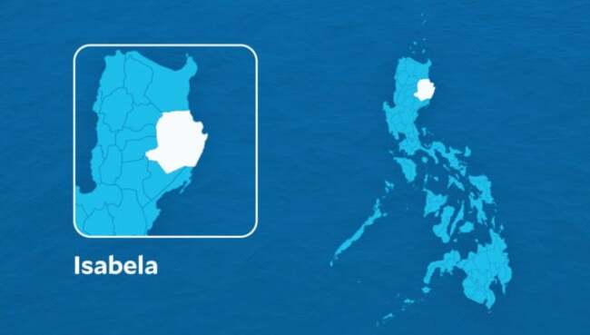 African swine fever detected in 3 pigs in Isabela town leads to culling