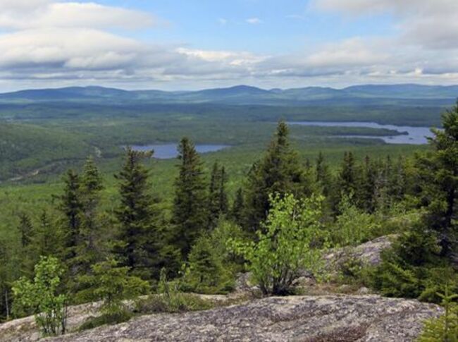 Train carrying hazardous materials derails in Maine