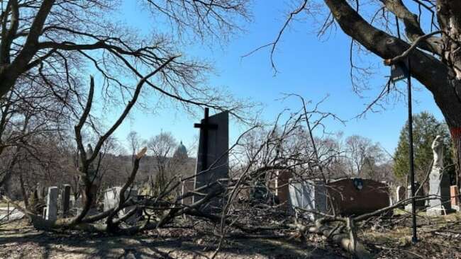 Storm cleanup delayed by weeks as Montreal cemetery shuts its gates in labour dispute