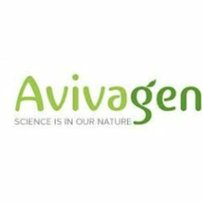 Avivagen (CVE:VIV) Sets New 12-Month Low at $0.04