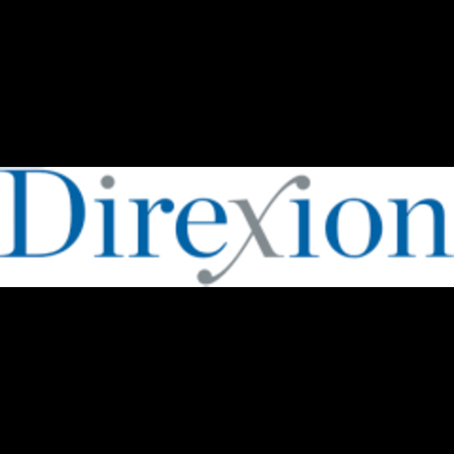 Direxion Daily Gold Miners Index Bull 2x Shares (NYSEARCA:NUGT) Stock Price Up 3.8%