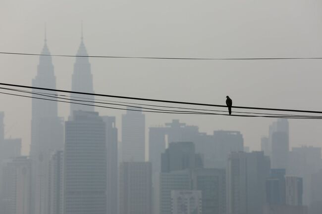 QuickCheck: Will an air purifier in the house help beat the haze?