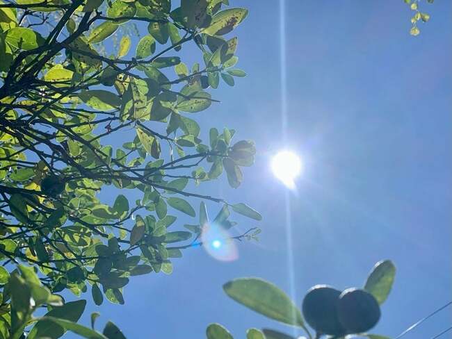 Heat index on Wednesday under Extreme Caution and Danger category