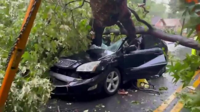 Atlanta driver survives large oak crushing car