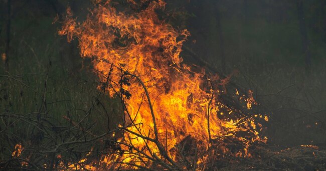 Red flag warning for increased fire risk issued for all New Jersey counties