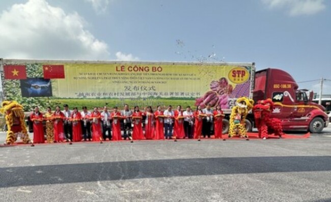 First batch of sweet potatoes officially exported to China