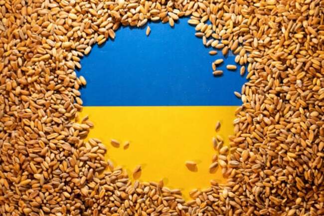 Hungary to allow transit of Ukrainian grain, protect farmers – minister