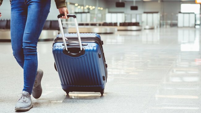 Minister warns no guarantees over July travel plan