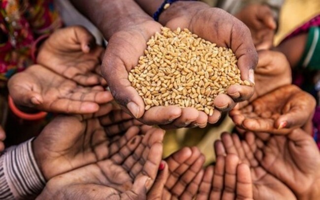 Vietnam to host Global Conference on Sustainable Food Systems