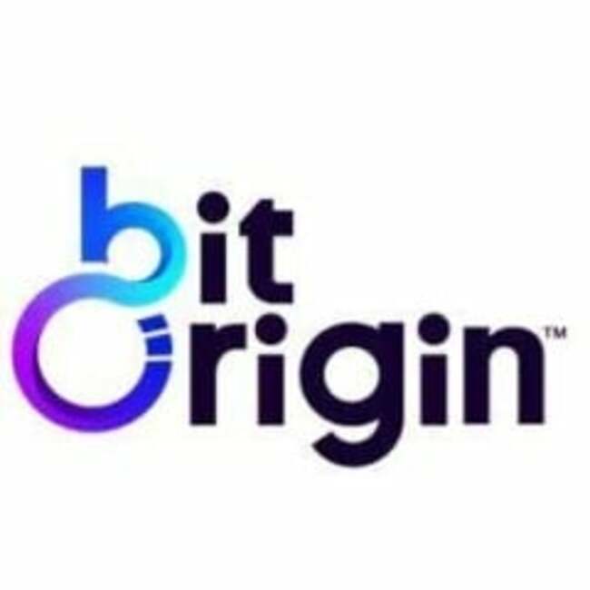 Bit Origin (NASDAQ:BTOG) Trading Down 3.4%