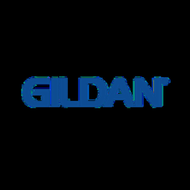 Gildan Activewear (TSE:GIL) Stock Price Passes Above Fifty Day Moving Average of $42.74