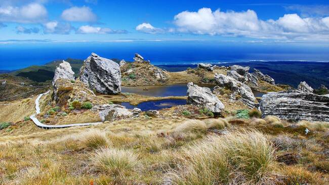 Your next Great Walk: A Southland track with creature comforts