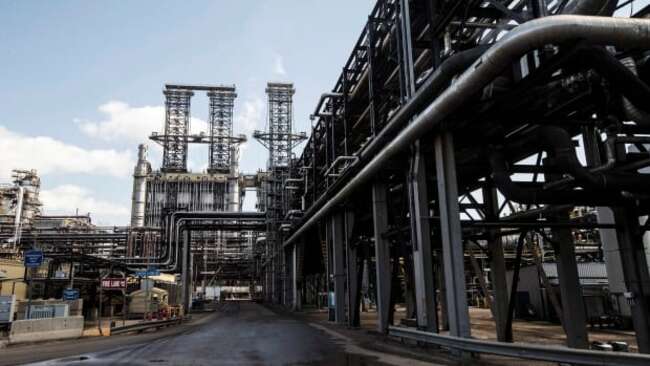 Dead wildlife found at oilsands tailings pond in northern Alberta