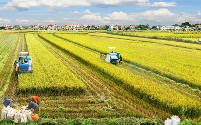 Global conference on sustainable food systems opens in Hanoi