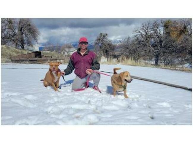 Author Interview- Michigan Avenue Media- Dominic Domingo