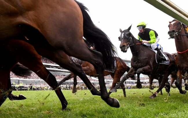 ‘Gifted' jockey dies after fall during race in Australia