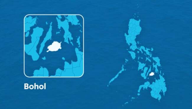 Fire destroys 200 hectares of land in Bohol