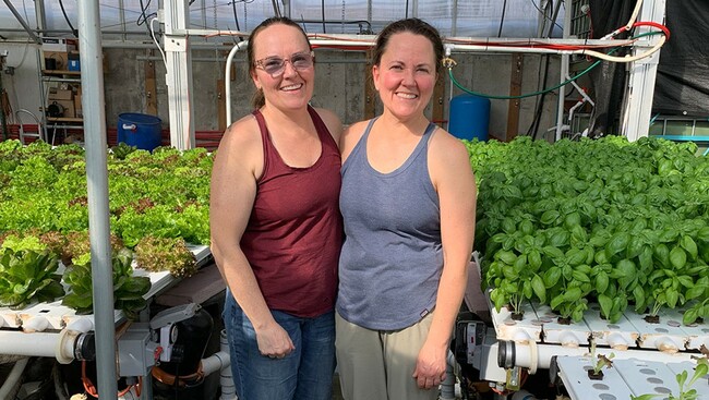 Bakersfield Aquaponics Farmer Grapples With Technical and Market Hurdles