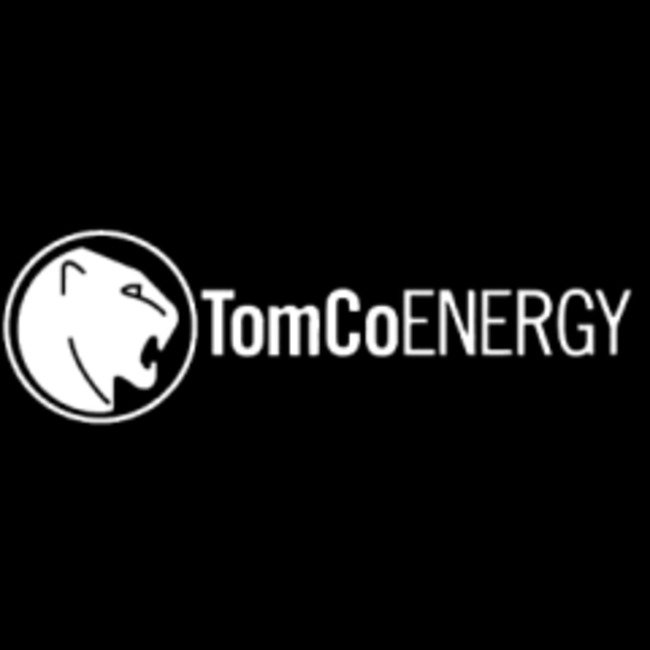 TomCo Energy (LON:TOM) Sets New 1-Year Low at $0.26