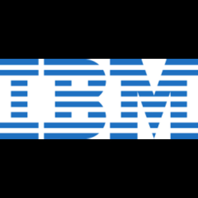Strengthening Families & Communities LLC Has $1.87 Million Stock Position in International Business Machines Co. (NYSE:IBM)
