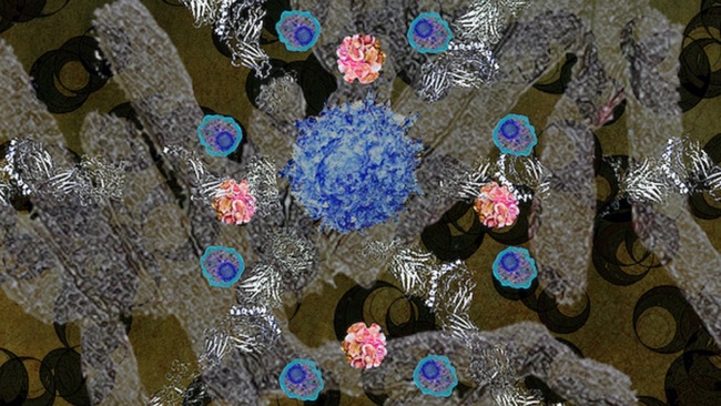 Near-universal T cell immunity towards a broad range of bacteria
